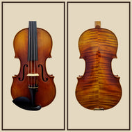 Violin Carlo Bekhmann 870