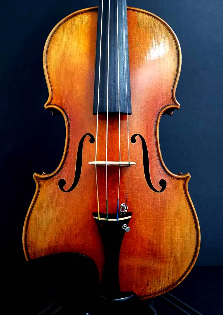 Violin Carlo Beckmann Solo A-Series