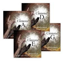 IL CANNONE Violin Strings Set