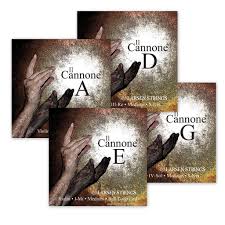 IL CANNONE Violin Strings Set